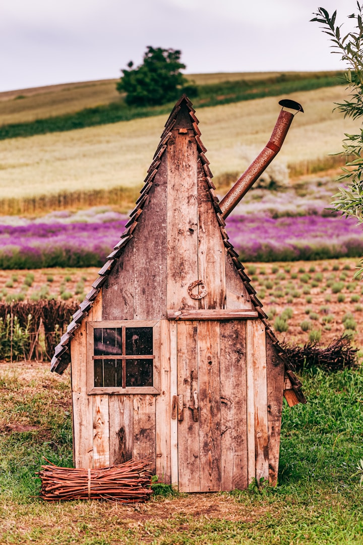 Harmoniskt hem innebär ordning och reda